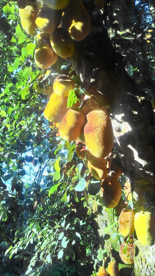 Chalé Rancho Aratama Jacareí Exteriér fotografie