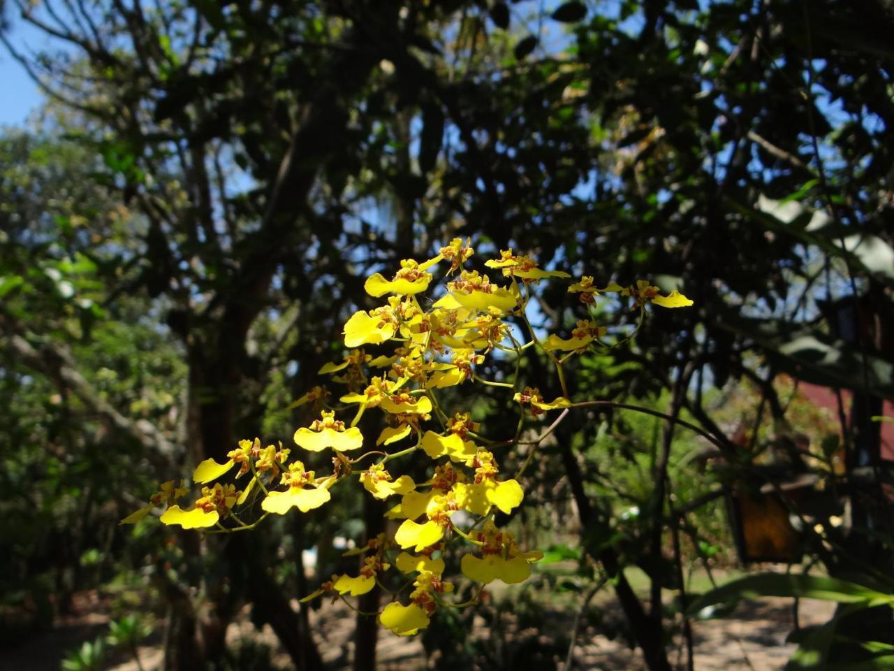 Chalé Rancho Aratama Jacareí Exteriér fotografie